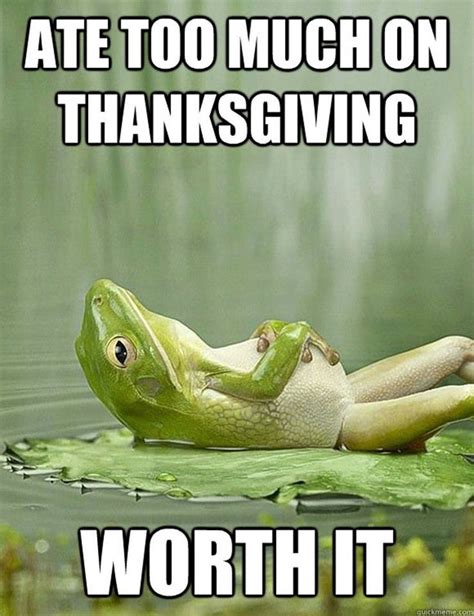 12 Funny Thanksgiving Memes That Capture Our Feelings For That Holiday