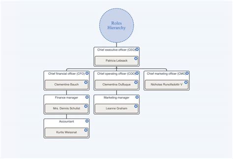 Corporate Organizational Chart Demo Applications Examples