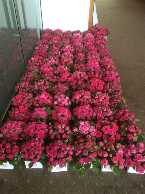Check spelling or type a new query. Supporting the National Breast Cancer Foundation | Bloom ...