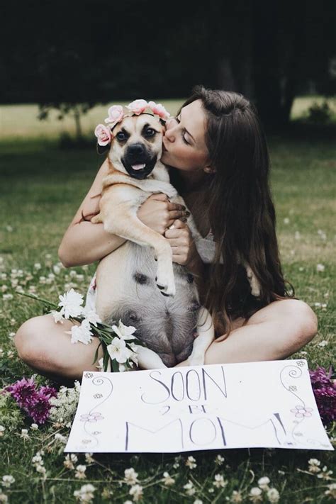 Let Us Show You A Very Cute Dog Maternity Shoot Like Youve Never Seen