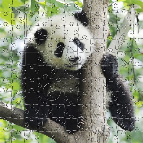 Panda Wooden Jigsaw Puzzle Sawbridge Studios