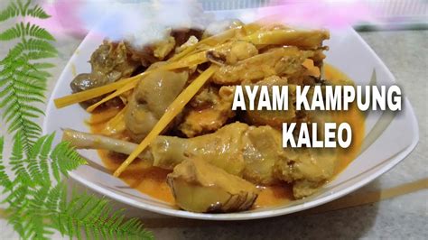 Check spelling or type a new query. #Resepmembuatayamkampungkaleo RESEP AYAM KAMPUNG KALEO ...