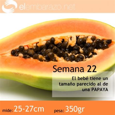 Decoración de tienda de regalos regalos para mamá 22 semanas de embarazo zapatos de foami tutorial de zapatos de bebé souvenir para bautismo bautismo bebe adornos cumpleaños decoraciones. Semana 22 de gestación | elembarazo.net