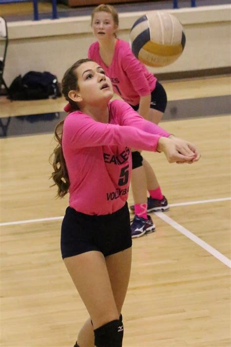 Pin On 2016 Liberty High School Volleyball Dig Pink