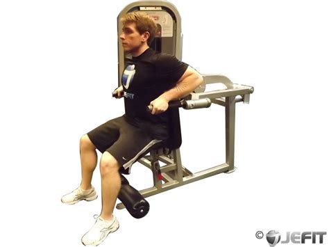 Seated Dips Machine Muscles Worked Awesome Home
