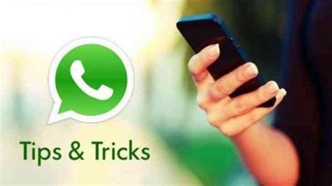 Do you want to check your friends' whatsapp last seen time secretly without updating yours? Cara Setting Privasi Stories, Last Seen, Foto Profil, dan ...