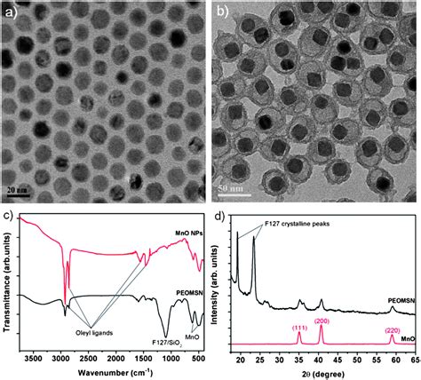 In addition, the crystallinity of the resulting manganese nanoparticles was gradually improved. Silica-F127 nanohybrid-encapsulated manganese oxide ...
