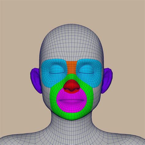 Character Study Character Modeling Character Design Face Topology