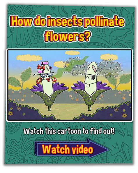 Not much pollen falls off these wet pollen packs. Animals that help Plants make Seeds, The Buddy System ...