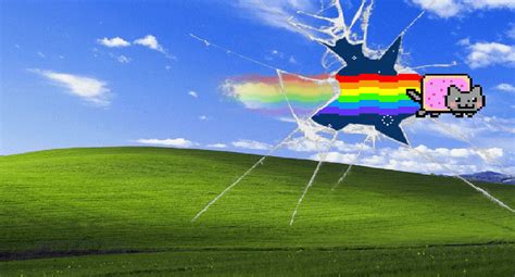 Nyan Cat Zoom Background Video Aseclimate