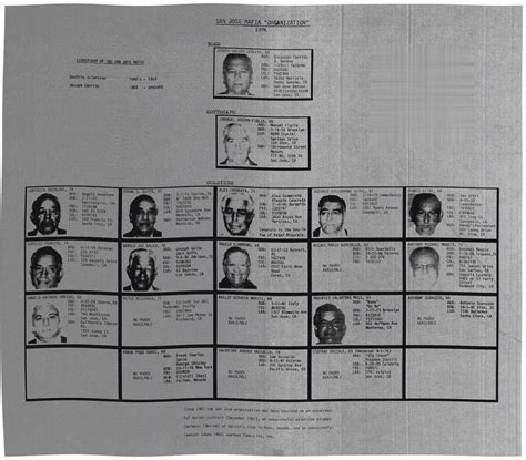 San Jose Crime Family Chart. | Mafia, Mafiosos
