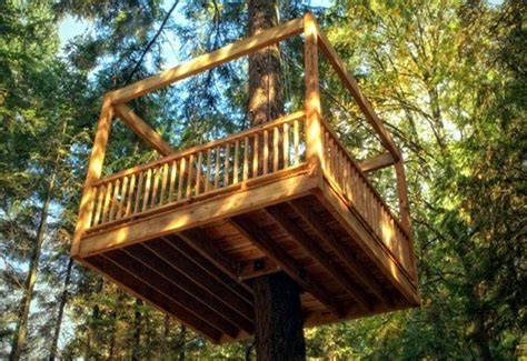 Elevated Livings Eco Friendly Tree Homes Take Outdoor Play To New