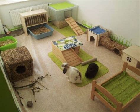 Rabbitat heaven...ideas to make your rabbit's living space AMAZING