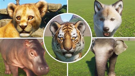 All 57 Baby Animals Planet Zoo Youtube
