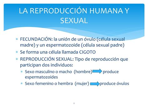 ppt la reproducciÓn humana powerpoint presentation free download id 3632198