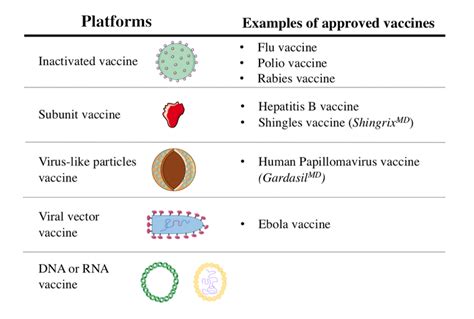 COVID-19 vaccine update: Pfizer may be the frontrunner, but Canada has