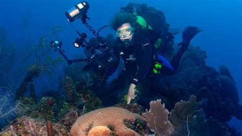 The Diver Sylvia Earle Atmos