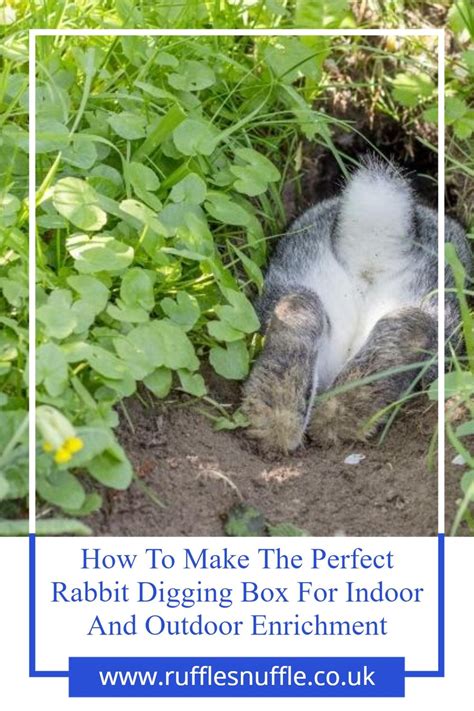 How To Make The Perfect Rabbit Digging Box For Indoor And Outdoor