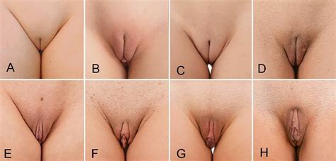 Which Kind Of Pussy Lips Are Your Favorite R Pussy