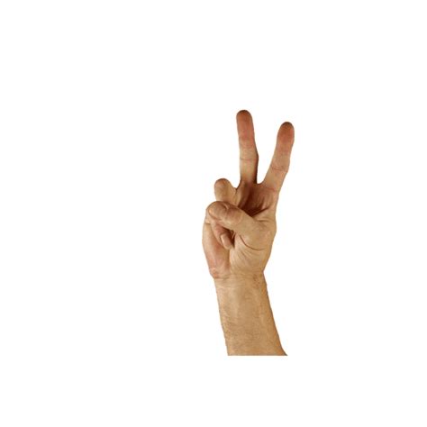 Hope Sign Language Peace Two Hand Harmony Finger 12 Inch By 18 Inch