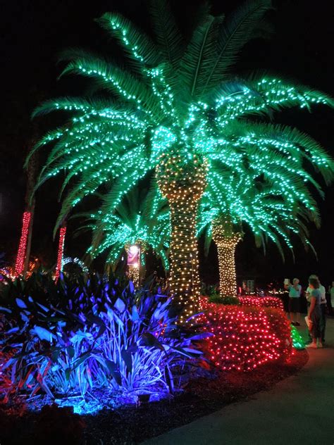 Cartoon green palm tree surrounded with christmas presents. Sweet Escapes: Christmas in the Gardens