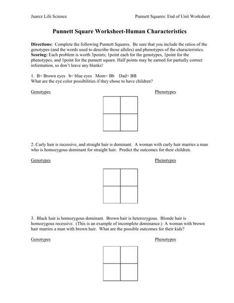 This genetics biology homework page is perfect for helping students who practice punnett square problems that involve incomplete dominance. Punnett Square Worksheet