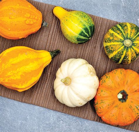 Pumpkins Squash And Gourds A Healthy Natural Dewormer Hobby Farms