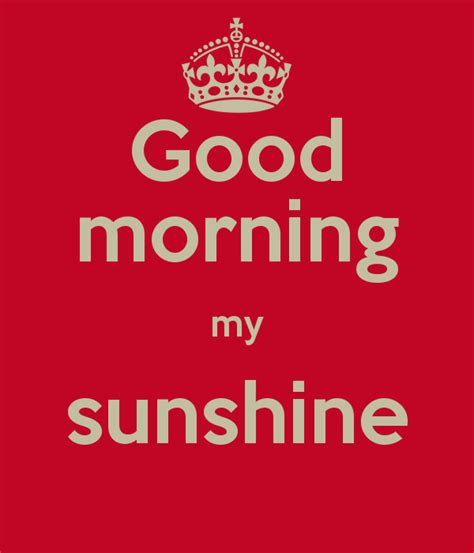 Good Morning My Sunshine Quotes Quotesgram