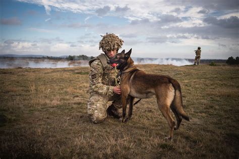 A funny poem from shel silverstein's classic anthology a light in the attic.. 1st Military Working Dogs on Exercise in Sennelager ...