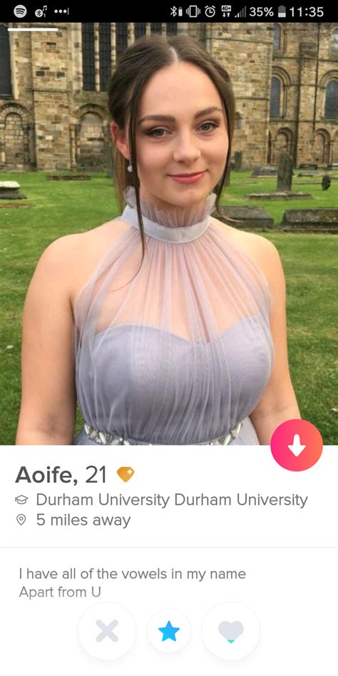 The Best And Worst Tinder Profiles And Conversations In The World 139