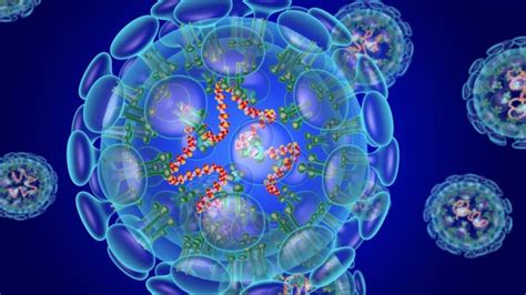 Симптомы и профилактика коронавирусной инфекции. Китайские медики расписали симптомы коронавируса по дням ...