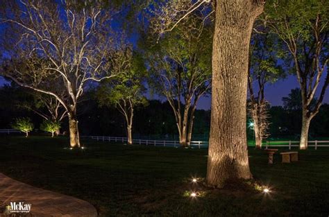 Beautifully Accent The Trees In Your Yard With Landscape Lighting