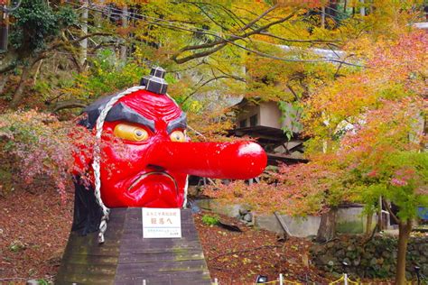 Kurama And Kibune Private Trekking Tour In The Japan Wonder Travel