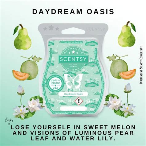 Daydream Oasis Scentsy Bathroom Cleaner The Candle Boutique Scentsy