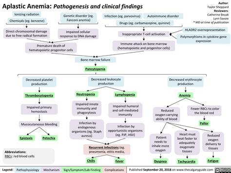 Ascites Pathogenesis And Clinical Findings Calgary Gu