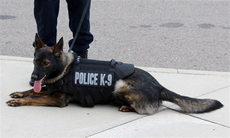 Detroit Police K9 Unit Gets Donation Of Five New Bullet Resistant Vests