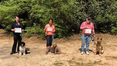 Group Dog Class — Atlanta Dog Trainer