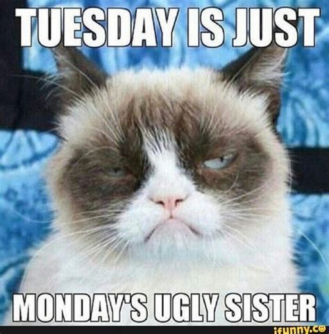 These funny office memes perfectly sketch all of the thoughts that everyone has on a daily basis about life in the workplace. Best Tuesday Memes - 2017 Edition | Tuesday, Tuesday meme ...