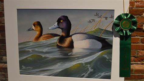 Duck Stamp Winners Unveiled On Display At Wildlife Arts Festival