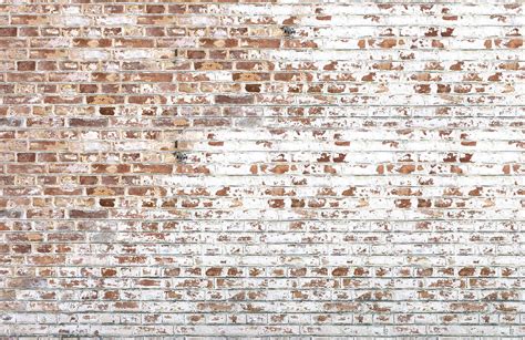 White Paint Bricks Wall Mural Murals Wallpaper