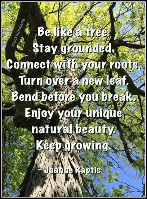 “be Like A Tree Stay Grounded Connect With Your Roots Turn Over A