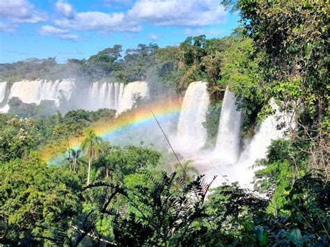 Iguazu Falls Rainbow Forest Stock Photo Image Of Iguau Nature 250331466