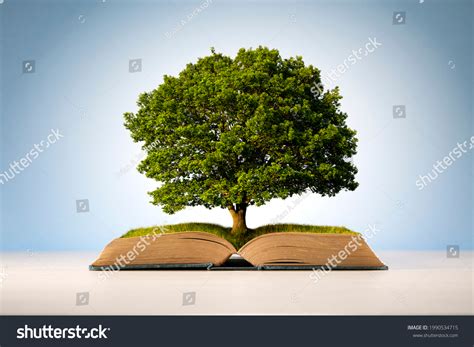 Tree Growing Out Book Over 2362 Royalty Free Licensable Stock Photos