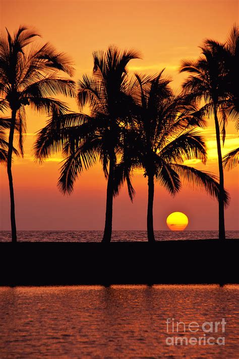 Hawaiian Beach Sunset Photograph By Leena Robinson