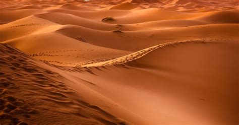 Combien Y A T Il De Grains De Sable Sur Terre Ça Mintéresse