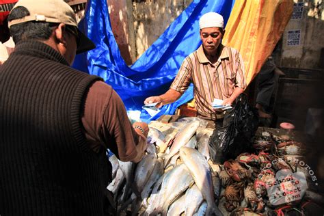 A fishmonger (historically fishwife for female practitioners) is someone who sells raw fish and seafood. Fish Market, FREE Stock Photo, Image, Picture: Fishmonger ...