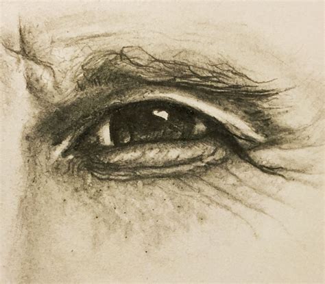 Pencil Illustration Tired Eyes Eye Drawing Pencil Illustration
