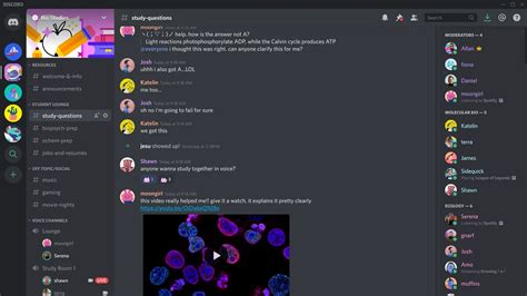 Open Discord In Browser