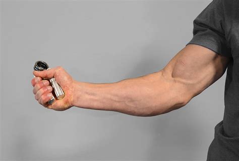 The Top 5 Best Grip Training Exercises Best Exercises Project Swole