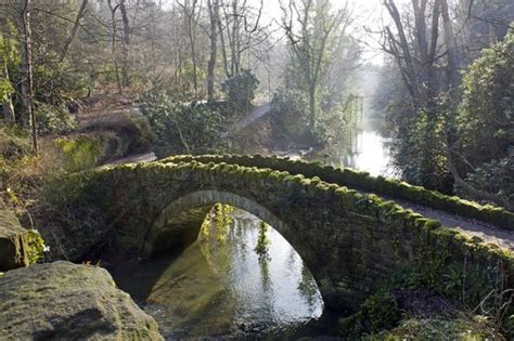 Streams Bridges And Pathways Through The Woods Picture Of Jesmond